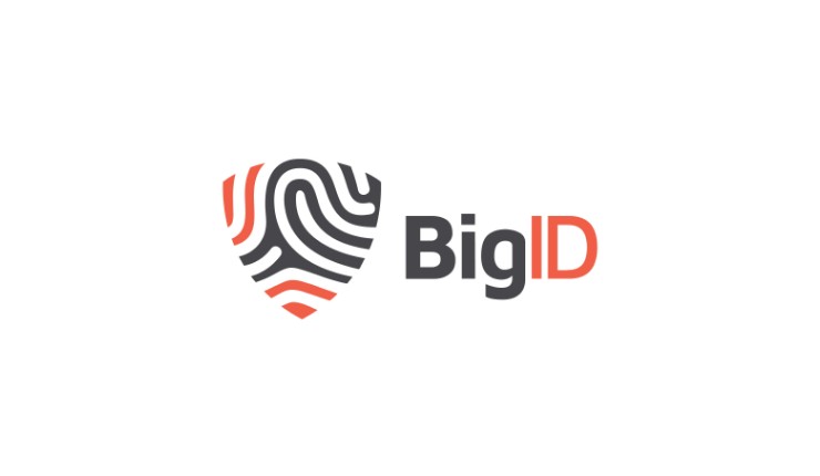 BigID logo